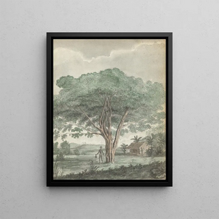 Jan Brandes - Boom op Ceylon.webp