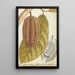 Cacao - Jan Brandes — framed artwork on a wall