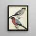 Finches - Jan Brandes — framed artwork on a wall