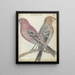 de Pájaros Suecos - Jan Brandes — cuadro enmarcado en la pared