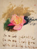 Rosa - Jan Cybis — vista de la obra