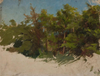 Estudio de Podolia - Jan Cybis — vista de la obra