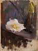 Estudio de flores blancas - Jan Cybis — vista de la obra