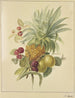 a pineapple, plums, and raspberries - Jan Evert Morel — artwork view