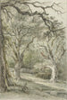 Paisaje forestal - Jan Hulswit — vista de la obra