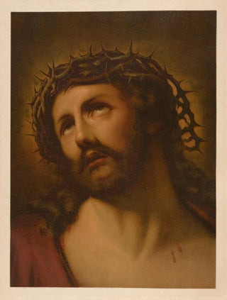 Jan Ladislaw Skora - Biblia zlota klasykow Pl061.webp