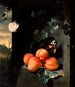 Still life with apricots and butterflies - Jan Mortel — artwork view