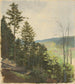 Scrub Hill - Jan Nowopack — vista de la obra