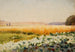 Campo de coles - Jan Stanisławski — vista de la obra