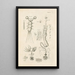 The Book of Nature or L'histoire des insectes Pl02 - Jan Swammerdam — framed artwork on a wall
