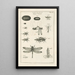 The Book of Nature or L'histoire des insectes Pl12 - Jan Swammerdam — framed artwork on a wall