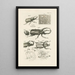 The Book of Nature or L'histoire des insectes Pl30 - Jan Swammerdam — framed artwork on a wall