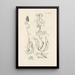 The Book of Nature or L'histoire des insectes Pl36 - Jan Swammerdam — framed artwork on a wall