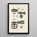 The Book of Nature or L'histoire des insectes Pl37 - Jan Swammerdam — framed artwork on a wall