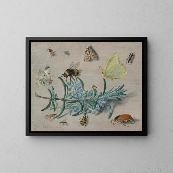 Insectos y una rama de romero - Jan van Kessel el Viejo — cuadro enmarcado en la pared