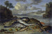 Naturaleza muerta con peces y animales marinos en un paisaje costero - Jan van Kessel el Viejo — vista de la obra