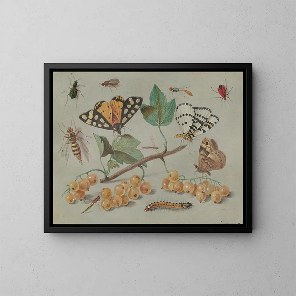 Estudio de mariposas e insectos - Jan van Kessel el Viejo — cuadro enmarcado en la pared