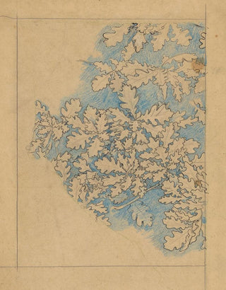 Jan Veth - Eikenbladeren.webp