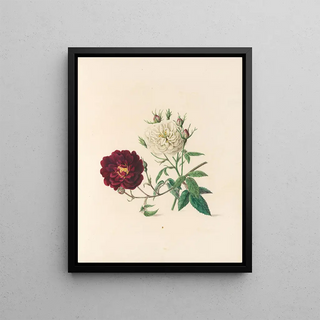 Jane Elizabeth Giraud - The fte of the flowers Pl04.webp