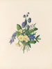 La fiesta de las flores Pl06 - Jane Elizabeth Giraud — vista de la obra