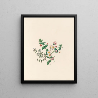 Jane Elizabeth Giraud - The fte of the flowers Pl07.webp