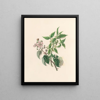 Jane Elizabeth Giraud - The fte of the flowers Pl13.webp