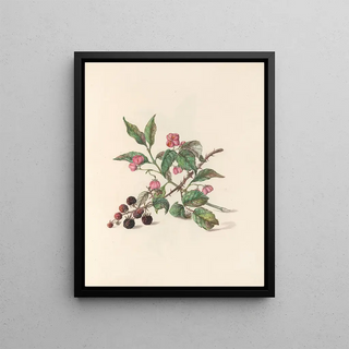 Jane Elizabeth Giraud - The fte of the flowers Pl14.webp