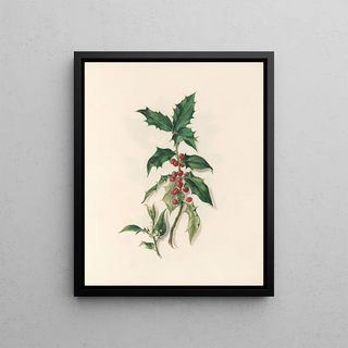 Jane Elizabeth Giraud - The fte of the flowers Pl15.webp