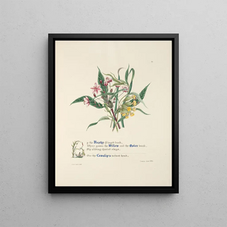 Jane Elizabeth Giraud - Up the Rushyfringed bank.webp