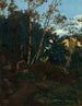 Bosquet d’arbres parmi les rochers, Civita Castellana - Jean - Baptiste Camille Corot — artwork view