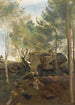 Fontainebleau Pins y abedules en las rocas - Jean-Baptiste-Camille Corot — vista de la obra