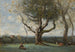 El gran árbol, alrededores de Gournay - Jean-Baptiste-Camille Corot — vista de la obra