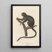El Tamarin - Jean-Baptiste Audebert — cuadro enmarcado en la pared