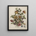 c 1680-95 - Jean-Baptiste Monnoyer — framed artwork on a wall
