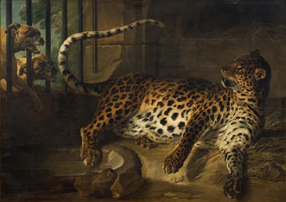 JeanBaptiste Oudry - Leopard in a Cage confronted by two Mastiffs.webp