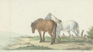 Jean Bernard - Een bruin en wit paard op een weg naast een hek.webp
