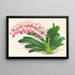 Aerides maculosum - Jean Jules Linden — cuadro enmarcado en la pared
