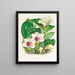 Bifrenaria harrisoniae painting - Jean Jules Linden — framed artwork on a wall