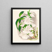 Catasetum bungerothi - Jean Jules Linden — framed artwork on a wall