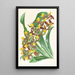 Catasetum rodigasianum - Jean Jules Linden — framed artwork on a wall