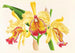 Cattleya aurea - Jean Jules Linden — vista de la obra
