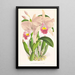 Cattleya Trianae - Jean Jules Linden — cuadro enmarcado en la pared