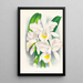 Cattleya Trianae var Pallida - Jean Jules Linden — cuadro enmarcado en la pared
