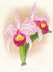 Cattleya Trianae var purpurata - Jean Jules Linden — vista de la obra