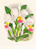 Cattleya kimballiana - Jean Jules Linden — vista de la obra
