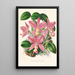 Cattleya nobilior - Jean Jules Linden — cuadro enmarcado en la pared