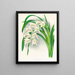 Maestros del Cymbidium - Jean Jules Linden — cuadro enmarcado en la pared