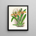 Cypripedium brillante - Jean Jules Linden — cuadro enmarcado en la pared