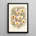 Dendrobium Falconeri - Jean Jules Linden — cuadro enmarcado en la pared