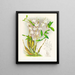 Dendrobium bursae - Jean Jules Linden — framed artwork on a wall
